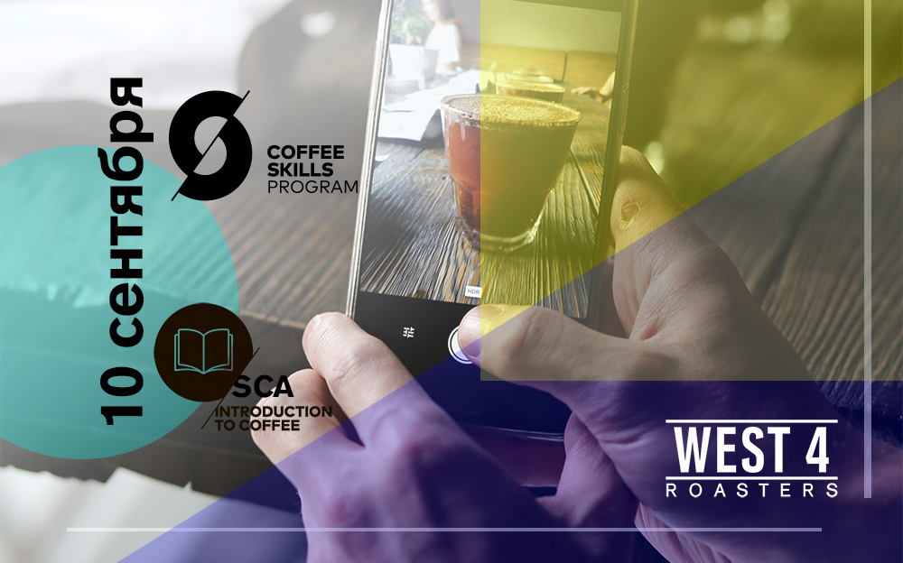 SCA introduction to coffee